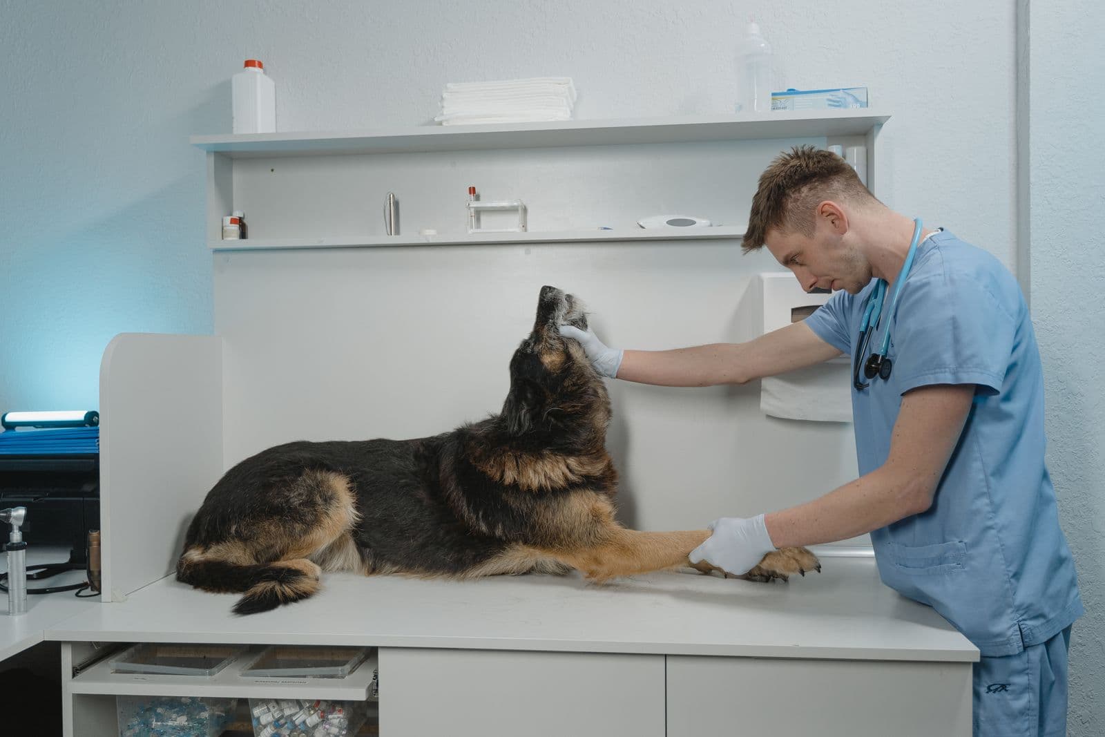 Veterinarias en Argentina